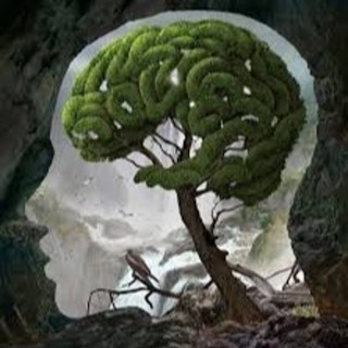 Mental Health and Epilepsy