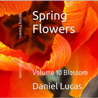 Spring Flowers Volume 10 Blossom by Daniel Lucas