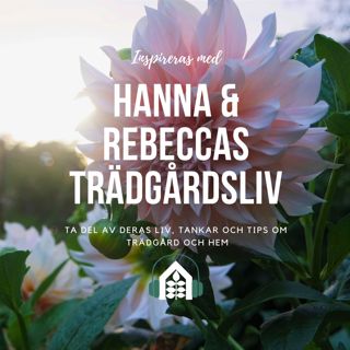 Avsnitt 106 – Kul knölar
