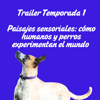 Trailer Temporada 1: Paisajes Sensoriales: Cómo Humanos y Perros Experimentan el Mundo