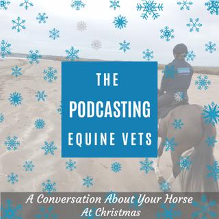 A Conversation About Your Horse At Christmas
