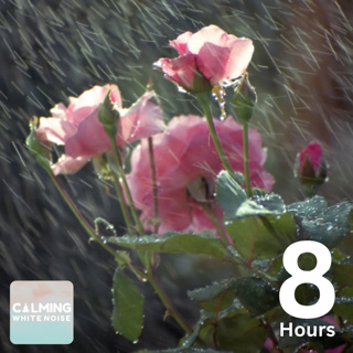 Pouring Rain Sounds (8 Hours) – Sound of Rain for Sleeping, Studying, and Relaxing