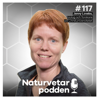 #117 Jenny Lovebo – Gå ner i varv med skogsbad