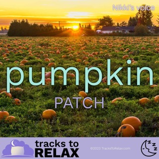 The Pumpkin Patch Sleep Meditation