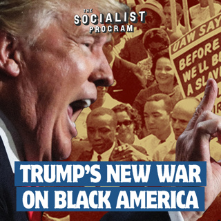 Trump’s ‘DEI’ Purge: a Trojan Horse to Overturn Civil Rights and Erase History