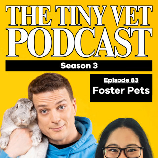 Foster Pets