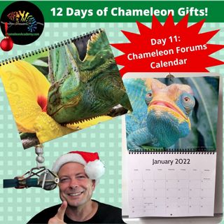 Chameleon Gift Giving - Day 11 Chameleon Forums Calendar