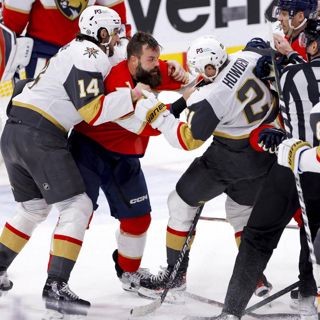317. NHL-puls: The misfits