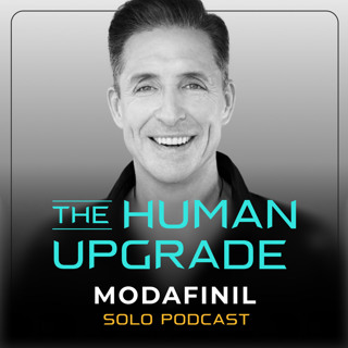 Modafinil Masterclass: Clarity, Drive, and Longevity | Solo Pod : 1337