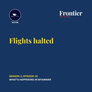 Flights halted