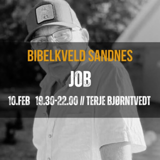 Jobs bok - Terje Bjørntvedt