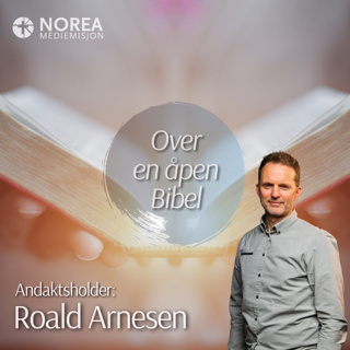 E2518 -5-Roald Arnesen - Hvordan responderer vi på lidelse?
