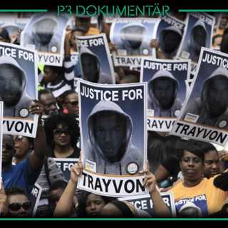 Dödsskjutningen av Trayvon Martin