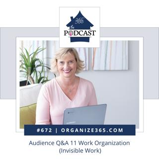 672 - Audience Q&A 11 Work Organization (Invisible Work)