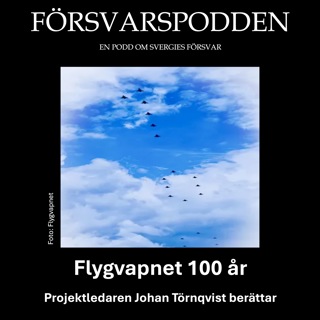 Flygvapnet 100 år!