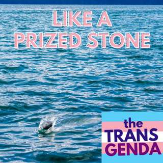 Like a Prized Stone (with Guest Ray Briggs)