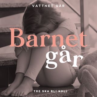 248. Barnet Går - Elaine Eksvärd, “Tre ska bli Noll - mot sexuella övergrepp mot barn”