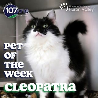 a2VV: HSHV Pet of the Week 3/12/26