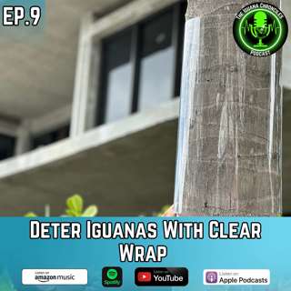 Deter Iguanas with Clear Wrap: Practical Tips and Success Stories