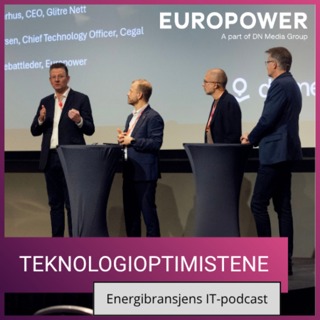 Forsvinner etternølerne? Kunstig intelligens kan bety langt færre nettselskaper.