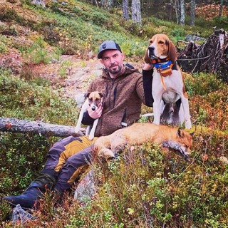 Treeing Walker Coonhound og jakt på rev og gaupe med Bjørn Lindberg