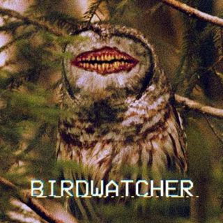Birdwatcher