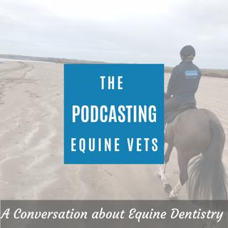 A Conversation About Equine Dentistry