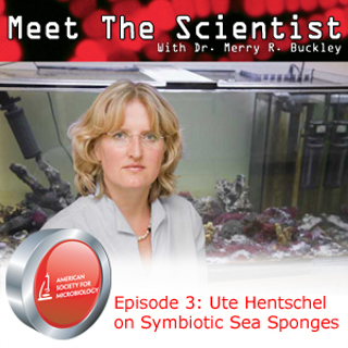 MTS3 Ute Hentschel - Symbiotic Sea Sponges