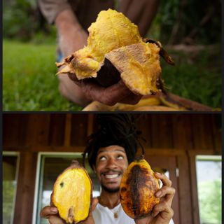 Ethnobotany & Plants You've Never Heard of w/ Anthony Basil Rodriguez