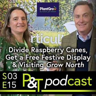 Free Festive Display, Divide Raspberry Canes & Meet Helena of the Chartered Institute of Horticulture at Grow North