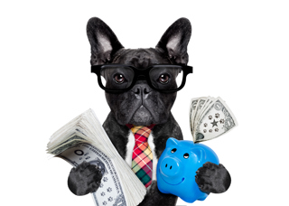 5 Reasons to Get Rich