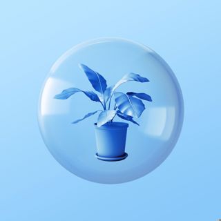 Stop Killing Your Houseplants