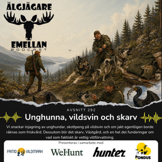 292. Unghunna, vildsvin och skarv