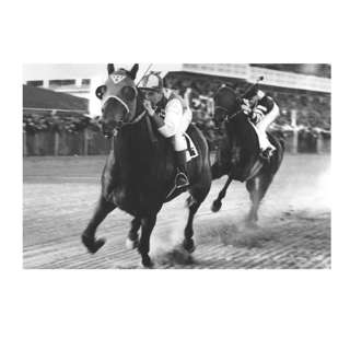 Sunday, February 1, 2026 - PIMLICO, home of Seabiscuit's greatest triumph!