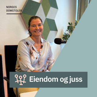 Strandsonen – Idyll eller konflikt?