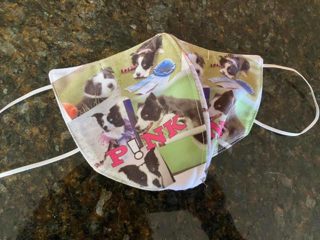 265: Fall Update on Agility Trials and COVID-19