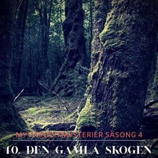 40. Den gamla skogen