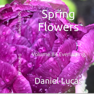 Spring Flowers Volume 84 Everlasting by Daniel Lucas