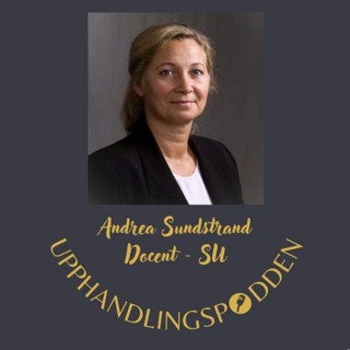 Avsnitt 23 - Upphandlingsrättens utveckling