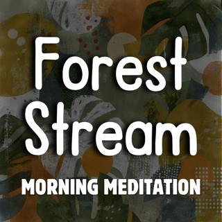 Forest Stream Meditation — Start Your Day with Calm and Confidence