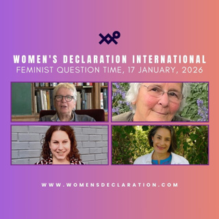 Sheila Jeffreys, Tamarack Verrall, Kara Dansky & April Chainey