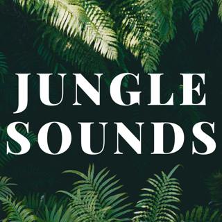 Jungle Sounds - Soothing Sounds of the Jungle with Paradise Birds to help you Sleep