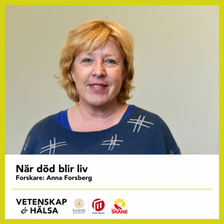 När död blir liv