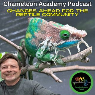 Changes Ahead for the Reptile Community