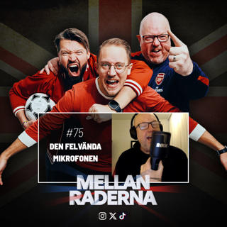 Den felvända mikrofonen