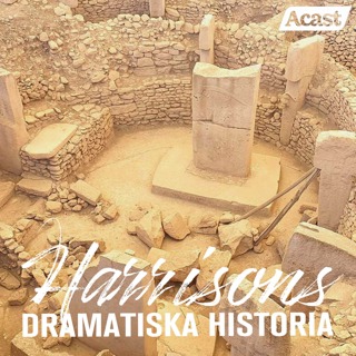 Göbekli Tepe – templet som jägarna byggde
