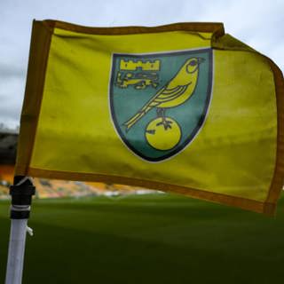 Norwich preview: Talking tactics, Shelvey's fitness and reflecting on that Lee Charnley exclusive
