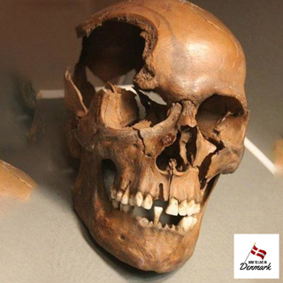 How to Meet a Dead Viking: The Mummies of Denmark
