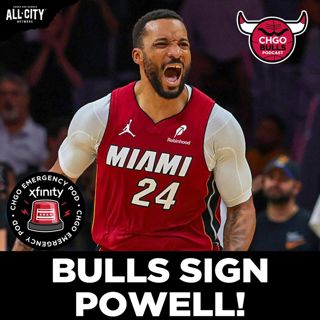 EMERGENCY POD! Chicago Bulls, Norman Powell Agree to 2-year, $45M Deal! | CHGO Bulls