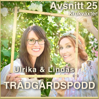 Avsnitt 25 - Krukväxter